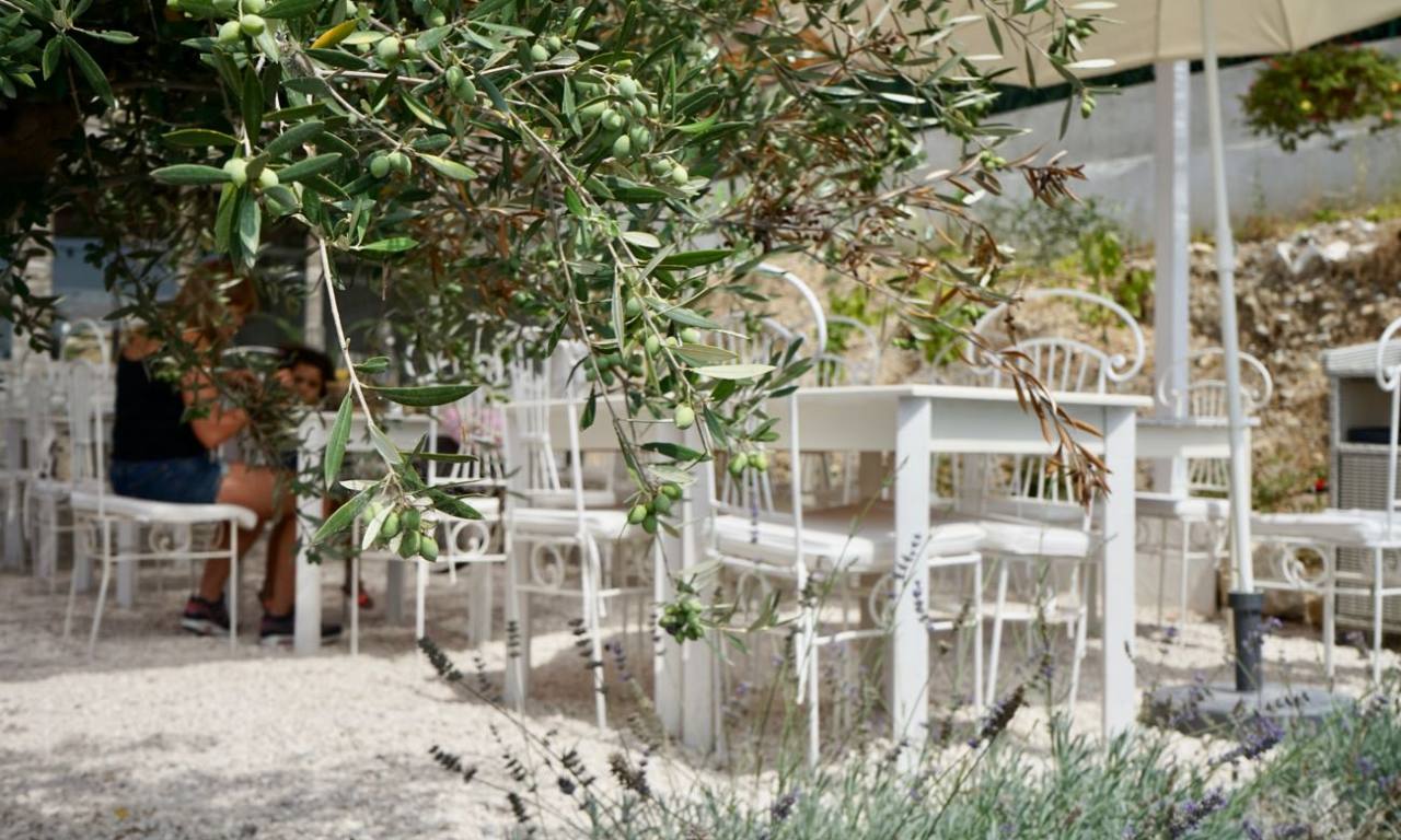 Figue et Olive, restaurant avec vue sur les hauteurs de Nice (terrasse)