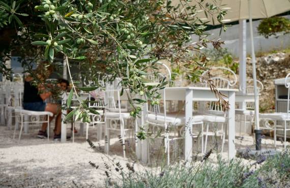 Figue et Olive, restaurant avec vue sur les hauteurs de Nice (terrasse)