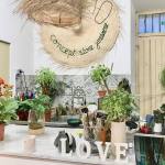 Boho, jardinerie et concept-store végétal à Nice (comptoir)