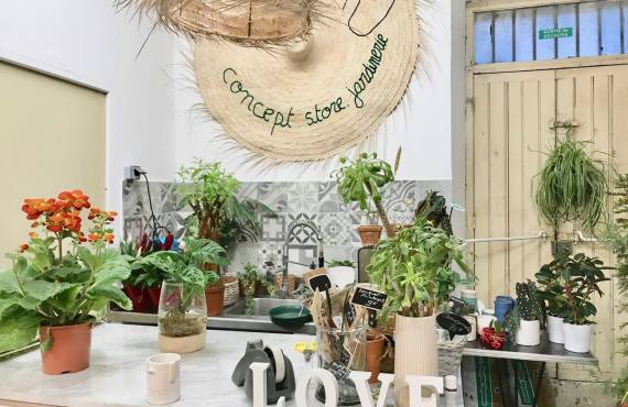 Boho, jardinerie et concept-store végétal à Nice (comptoir)