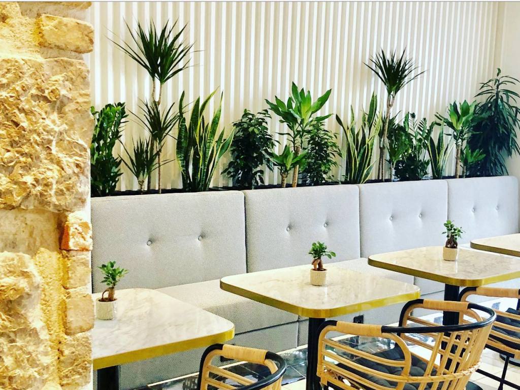 Maison Louisette, plant decoration on the Côte d'Azur (the restaurant)