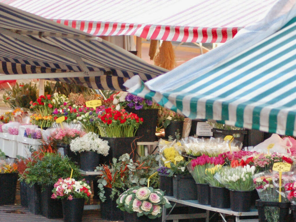 Local market, city guide love spots (parasols)