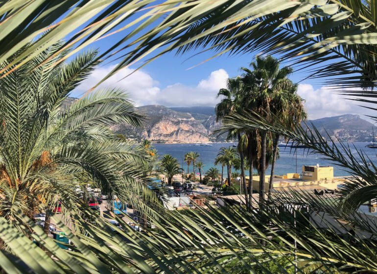 Saint-Jean-Cap-ferrat, lieu de villégiature (palmiers)