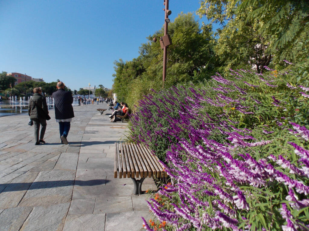 Promenade du Paillon, parc urbain à Nice (fleurs)