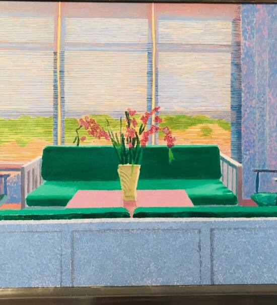 Un paradis retrouvé : Exposition David Hockney et Henri Matisse au Musee Matisse de Nice (fenêtre)
