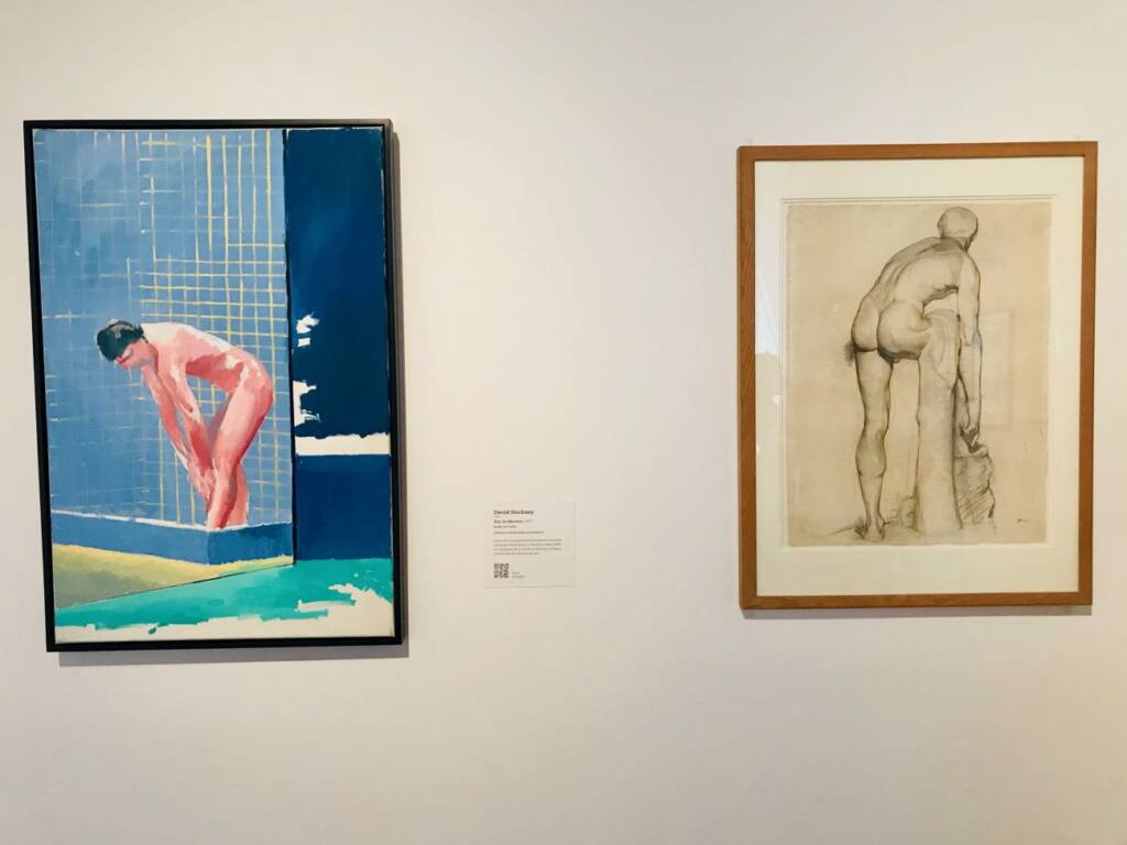 Un paradis retrouvé : Exposition David Hockney et Henri Matisse au Musee Matisse de Nice (douche)