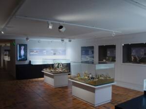 Musée préhistoire de Terra Amata (intérieur)