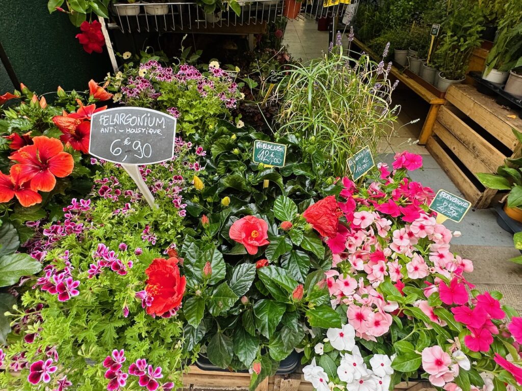 La Jardinerie Fiol, située dans le Vieux Nice, est le parfait endroit pour acheter plantes, graines, fleurs et accessoires de jardinerie.