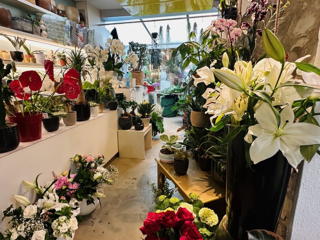 la Jardinerie Fiol, située dans le Vieux Nice, le parfait endroit pour acheter plantes, graines, fleurs et accessoires de jardinerie.