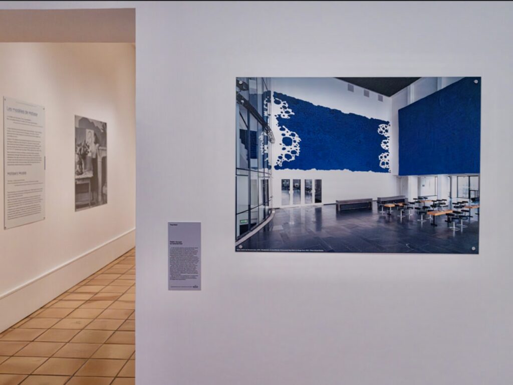 Le pouvoir bouleversant de la couleur : exposition croisée Yves Klein et Henri Matisse (vue expo 1)