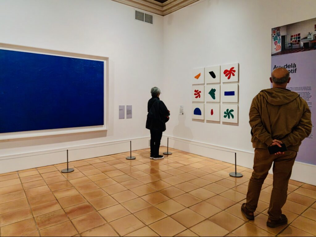 Le pouvoir bouleversant de la couleur : exposition croisée Yves Klein et Henri Matisse (vue expo 2)