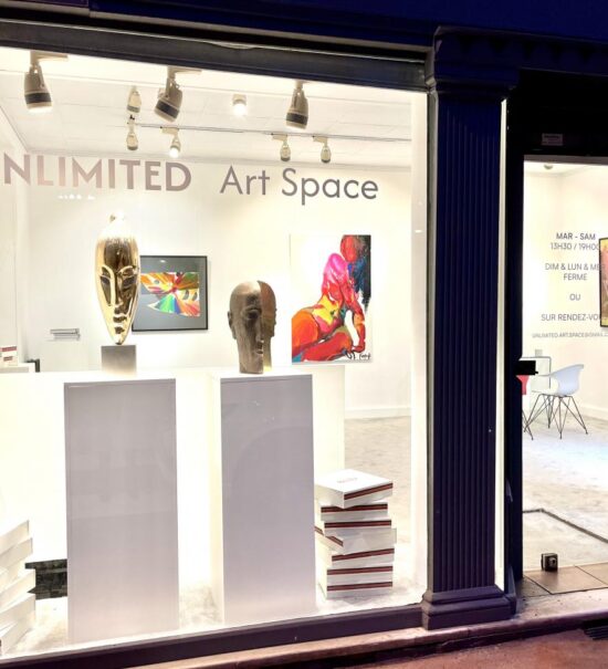 Unlimited Art Space : Espace d'art et de culture à Nice