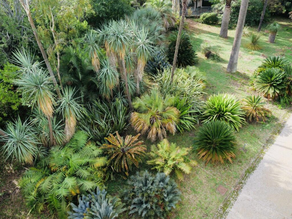 Jardin de la Villa Thuret à Antibes ( vue générale jardin).