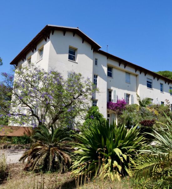 Jardin de la Villa Thuret à Antibes (Vue villa)