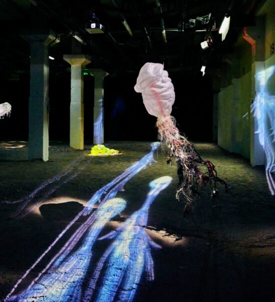 La zone de minuit : Expo d'Ugo Schiavi au 109 à Nice dans le cadre de la Biennale des arts et de l'Océan 2025 (installation 4)