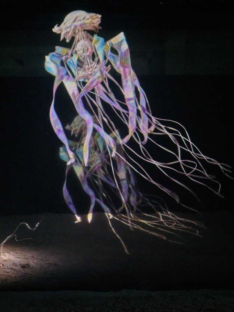 La zone de minuit : Expo d'Ugo Schiavi au 109 à Nice dans le cadre de la Biennale des arts et de l'Océan 2025 (installation 2)